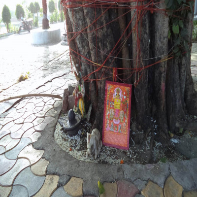 Spring Festival Travel